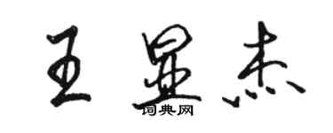 駱恆光王顯傑行書個性簽名怎么寫