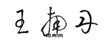 駱恆光王南丹草書個性簽名怎么寫