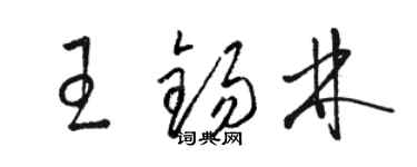駱恆光王錫林草書個性簽名怎么寫