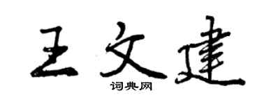 曾慶福王文建行書個性簽名怎么寫