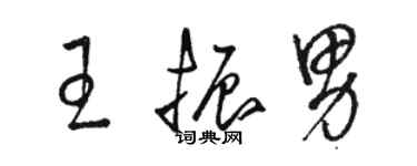 駱恆光王振男草書個性簽名怎么寫