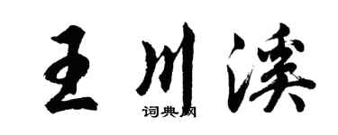 胡問遂王川溪行書個性簽名怎么寫