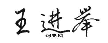 駱恆光王進舉行書個性簽名怎么寫