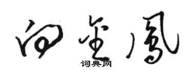 駱恆光向金鳳草書個性簽名怎么寫