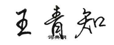 駱恆光王青知行書個性簽名怎么寫