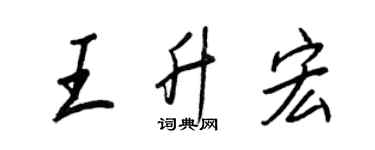 王正良王升宏行書個性簽名怎么寫