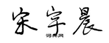 曾慶福宋宇晨行書個性簽名怎么寫