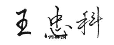 駱恆光王忠科行書個性簽名怎么寫