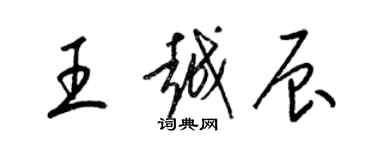 梁錦英王越辰草書個性簽名怎么寫