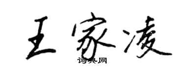 王正良王家凌行書個性簽名怎么寫