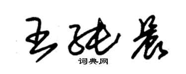 朱錫榮王純晨草書個性簽名怎么寫