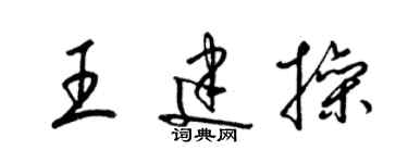 梁錦英王建操草書個性簽名怎么寫