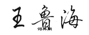 駱恆光王魯海行書個性簽名怎么寫