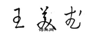 駱恆光王美武草書個性簽名怎么寫