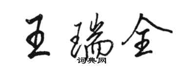 駱恆光王瑞全行書個性簽名怎么寫