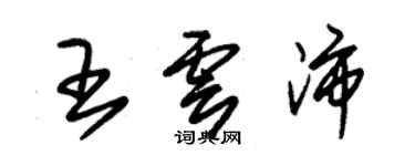 朱錫榮王雲沛草書個性簽名怎么寫