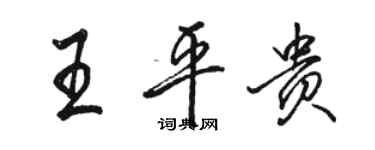 駱恆光王平貴行書個性簽名怎么寫