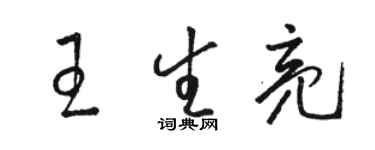 駱恆光王生亮草書個性簽名怎么寫