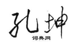 駱恆光孔坤行書個性簽名怎么寫