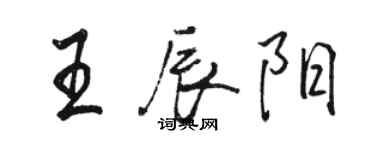 駱恆光王辰陽行書個性簽名怎么寫