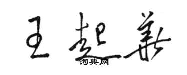 駱恆光王起華草書個性簽名怎么寫