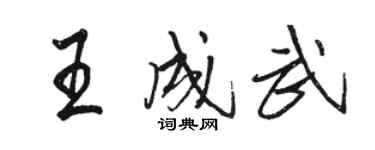 駱恆光王成武行書個性簽名怎么寫