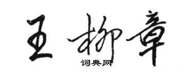 駱恆光王柳章行書個性簽名怎么寫