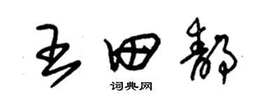 朱錫榮王田靜草書個性簽名怎么寫