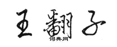 駱恆光王翻子行書個性簽名怎么寫