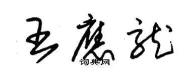 朱錫榮王應龍草書個性簽名怎么寫