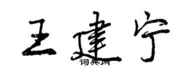曾慶福王建寧行書個性簽名怎么寫