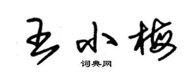 朱錫榮王小梅草書個性簽名怎么寫