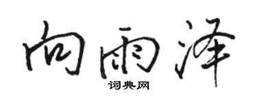 駱恆光向雨澤行書個性簽名怎么寫