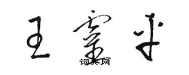 駱恆光王靈平草書個性簽名怎么寫