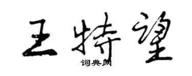 曾慶福王特望行書個性簽名怎么寫