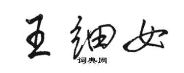 駱恆光王細女行書個性簽名怎么寫