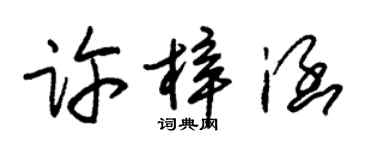朱錫榮許梓涵草書個性簽名怎么寫