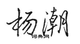 駱恆光楊潮行書個性簽名怎么寫