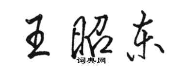 駱恆光王昭東行書個性簽名怎么寫