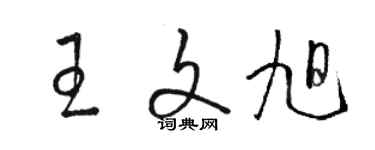 駱恆光王文旭草書個性簽名怎么寫