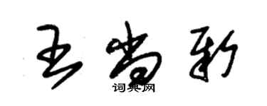 朱錫榮王尚新草書個性簽名怎么寫