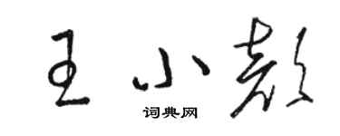 駱恆光王小顏草書個性簽名怎么寫