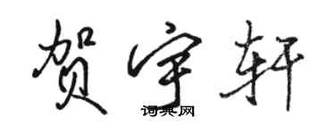 駱恆光賀宇軒行書個性簽名怎么寫