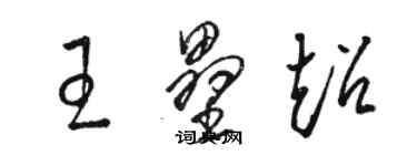 駱恆光王壘超草書個性簽名怎么寫