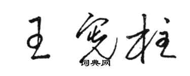 駱恆光王憲柱草書個性簽名怎么寫