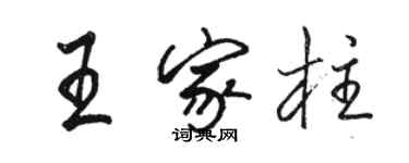 駱恆光王家柱行書個性簽名怎么寫