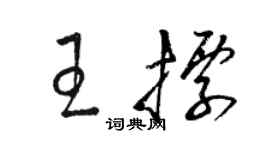 駱恆光王標草書個性簽名怎么寫