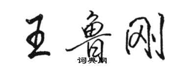 駱恆光王魯剛行書個性簽名怎么寫