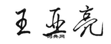 駱恆光王亞亮行書個性簽名怎么寫