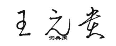 駱恆光王元貴草書個性簽名怎么寫